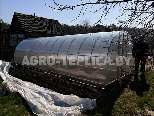 Фото Агротеплицы Плюс