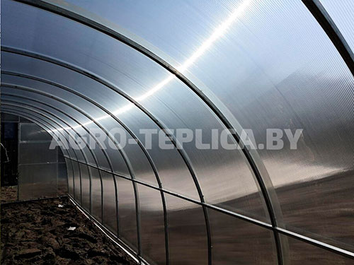 Фото Агротеплицы Плюс
