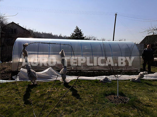 Фото Агротеплицы Плюс