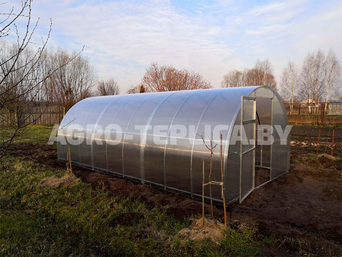 Фото Агротеплицы Престиж