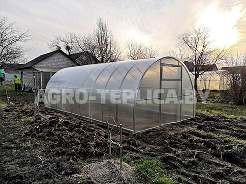 Фото Агротеплицы Престиж