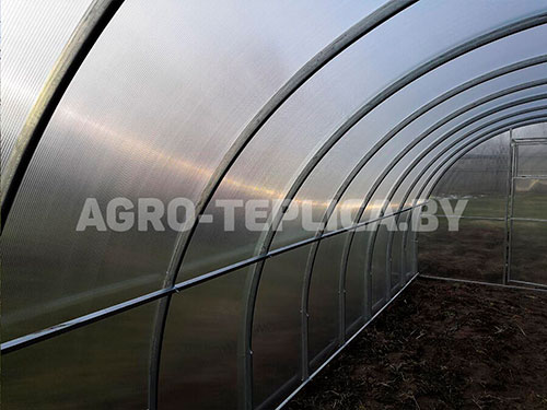 Фото Агротеплицы Престиж