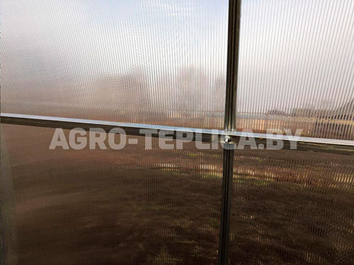 Фото Агротеплицы Престиж