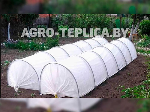 Фото "АгроПарника" под пленку