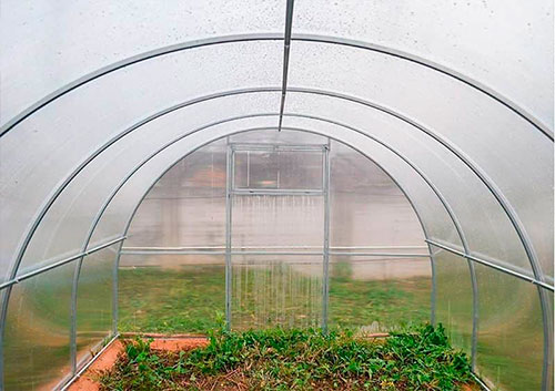 Фото Агротеплицы Стандарт